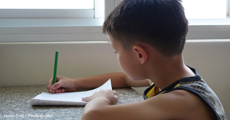 Library Adds 2nd-Grader’s Handmade Book To Collection After He Sneaks A Copy Onto A Shelf