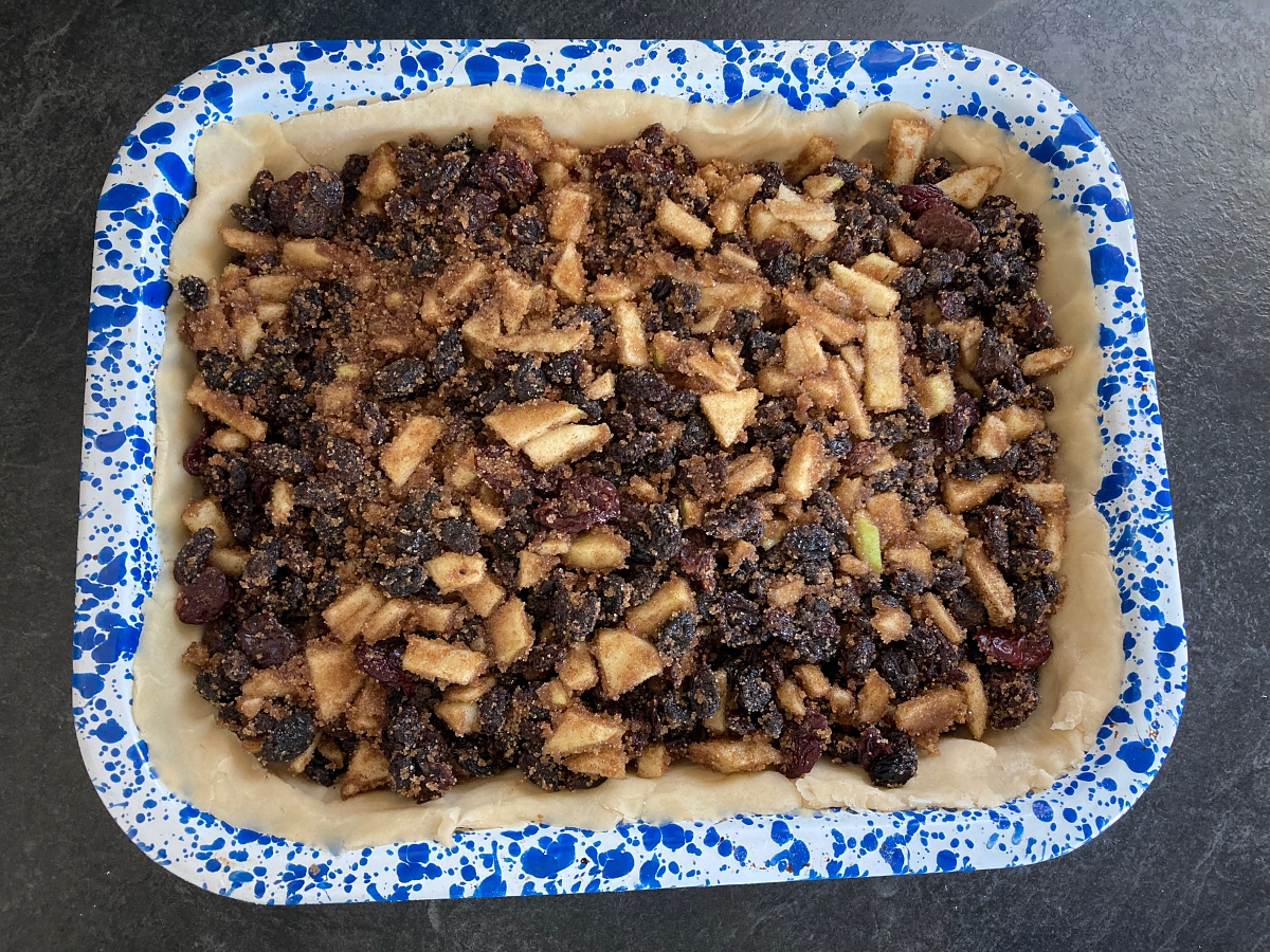 Flies' Graveyard Fruit Squares