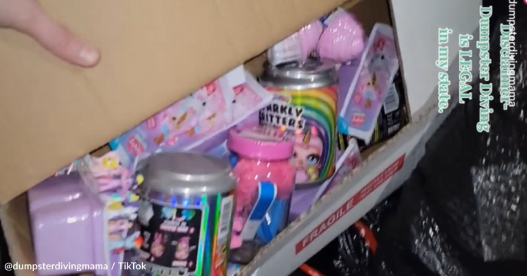 Mom Finds Huge Haul Of New Toys In Party City Dumpster