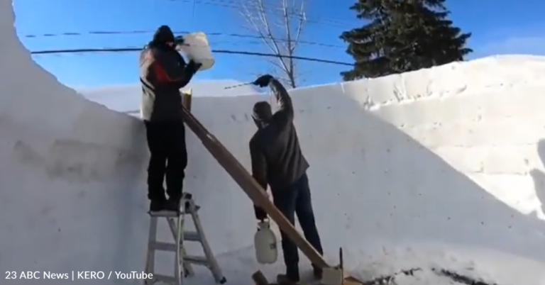 Couple Built Giant Igloo In Their Backyard To Pass The Time