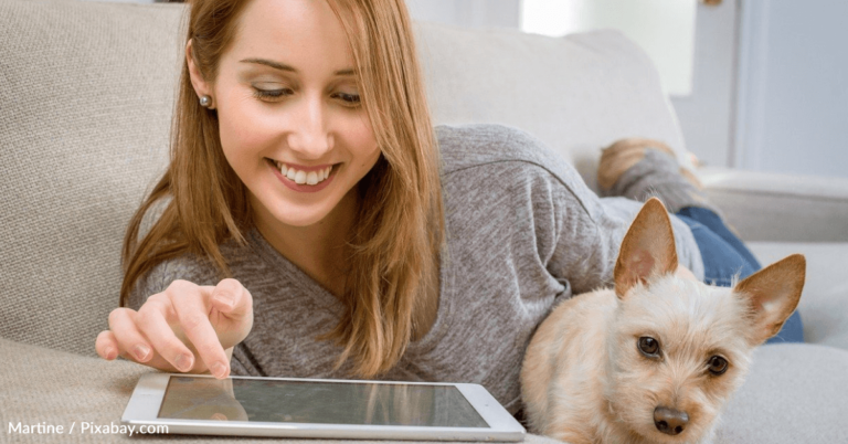 App Uses AI To Scan Pets And Find Their Art History Doppelgangers