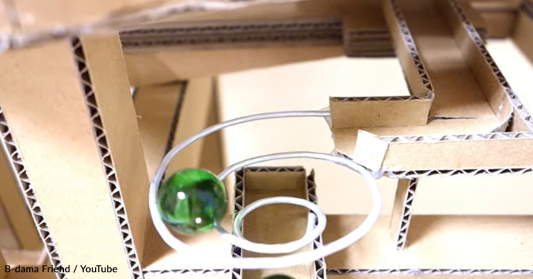 Creator Transforms Cardboard Into Intricate Marble Run