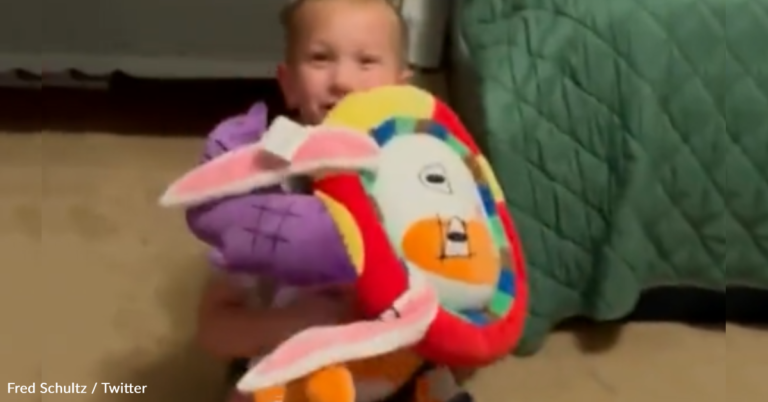 Boy Gets His Drawing Turned Into A Huggable Stuffed Toy