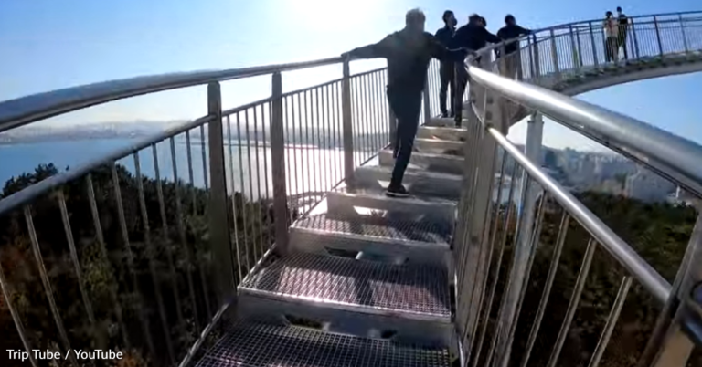 There Is A Walkable Roller Coaster In South Korea And It’s 230 Feet Tall