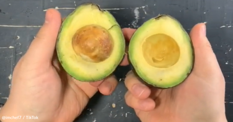 Chef Shares How To Store Avocados To Maximize Their Shelf Life