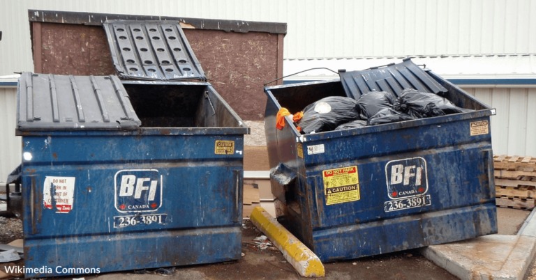 Woman Claims She Made Over $13,000 With Dumpster Diving