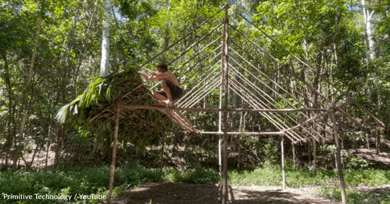 Man Shows How He Builds A Primitive Thatched-Roof Workshop