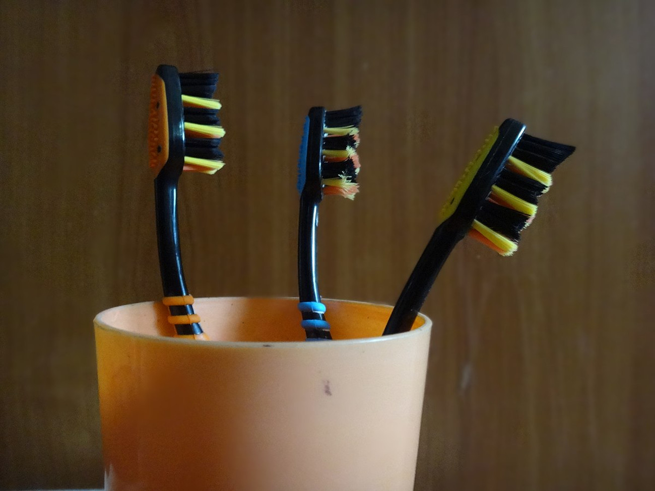 three toothbrushes