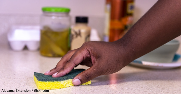 Your Kitchen Sponge May Actually Have More Bacteria Than A Petri Dish
