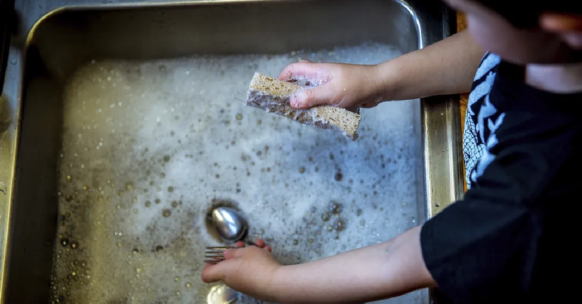 Your Kitchen Sponge May Actually Have More Bacteria Than A Petri Dish   1200x628 Template 4 2022 03 15T212043.256 