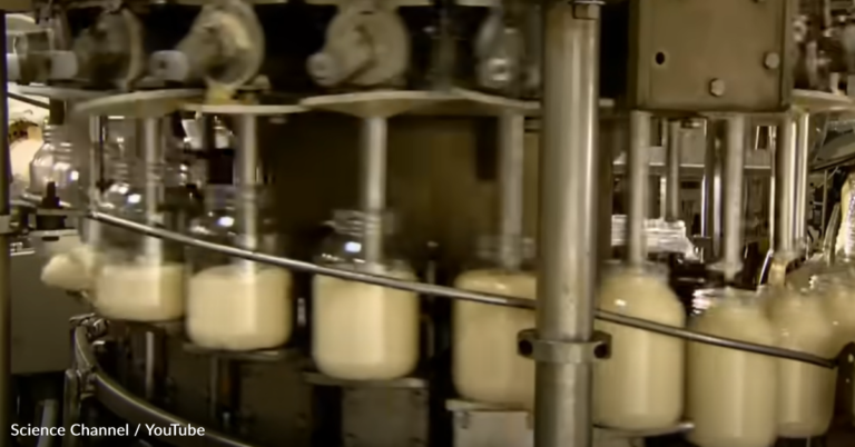 Watch How Mayonnaise Is Mass-Produced