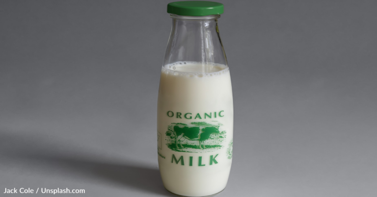 The Difference Between Organic And Regular Milk