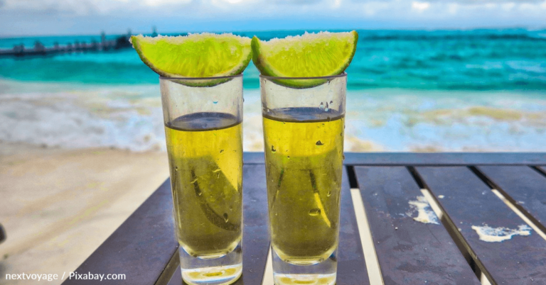 The Difference Between Tequila And Mezcal
