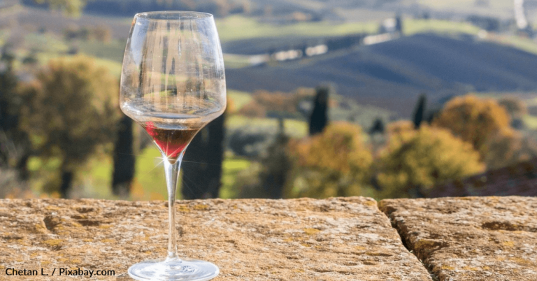 You Could Live And Work In Tuscany While Studying Wine
