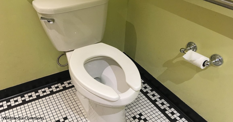 Here’s The Reason There’s A ‘U Gap’ On Public Toilet Seats