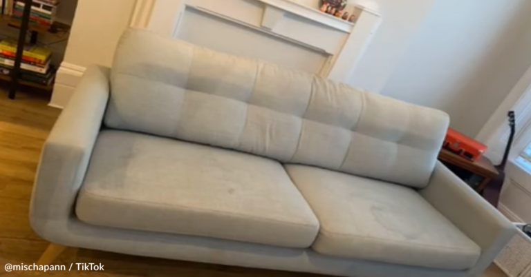 Woman Shares How She Made $260 Flipping A Free Sofa