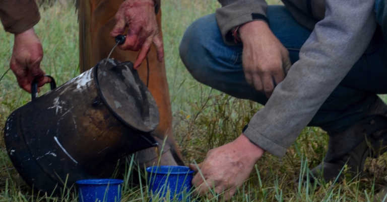 21st-Century Chuckwagon Cook Makes The Perfect Cowboy Coffee
