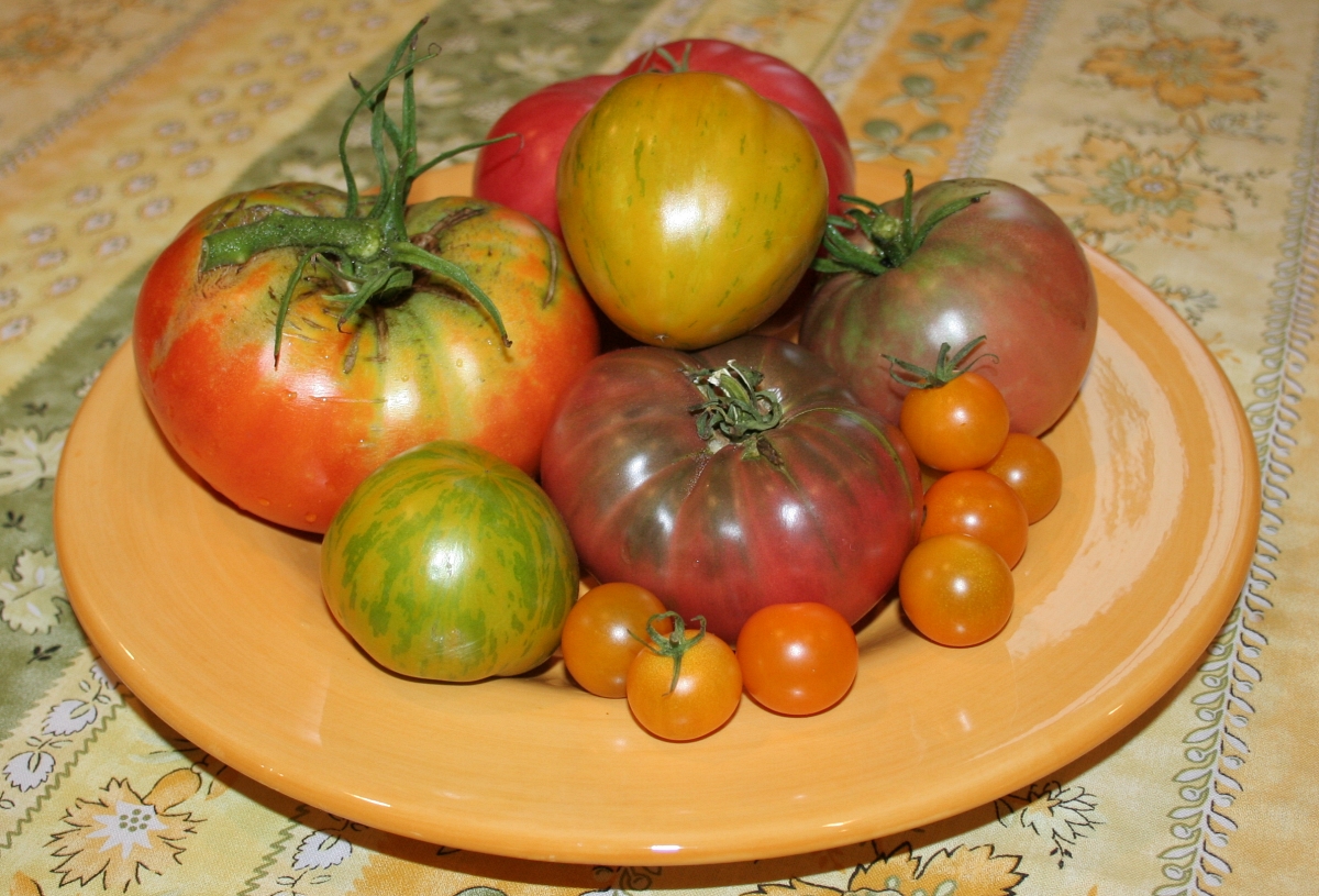 variety of heirloom tomatoes on plate