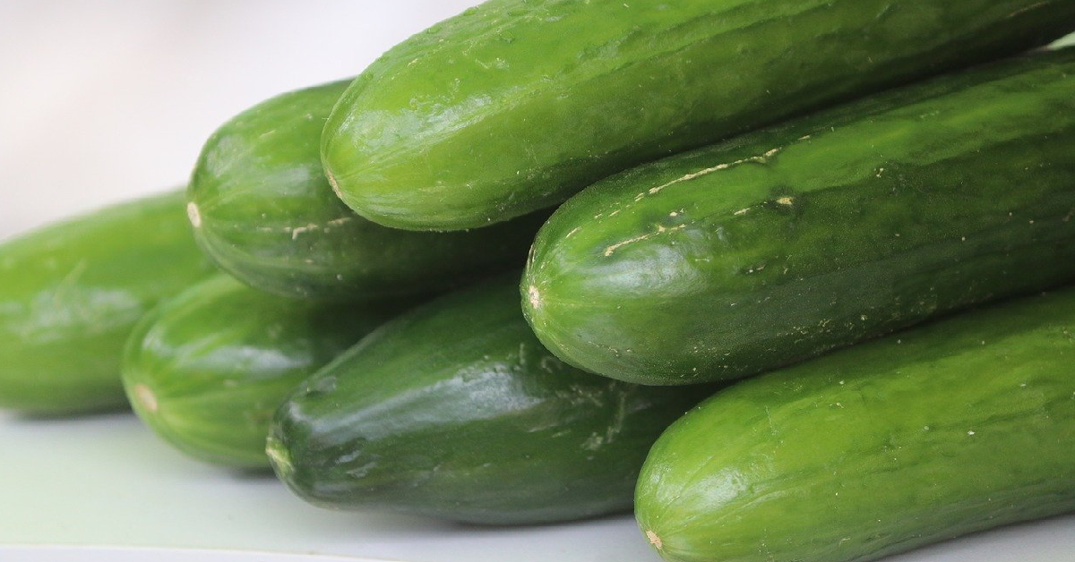 Why English cucumbers are wrapped in plastic always