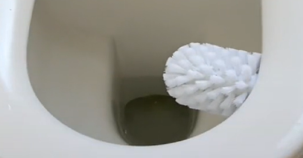 Aha! Hack: 3 Clever (and Attractive!) Ways to Store the Toilet Brush - The  Organized Home