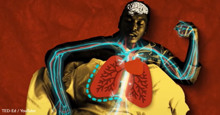 Why Do Some People Loudly Snore?