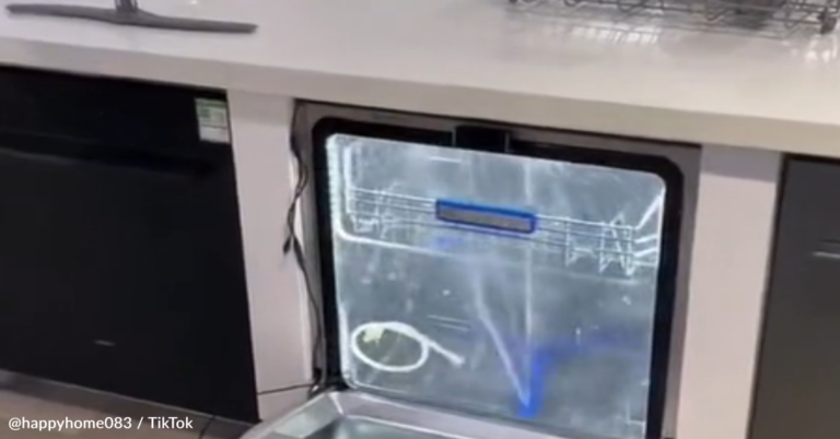 Dishwasher With Clear Door Allows You To See What Happens During A Cycle