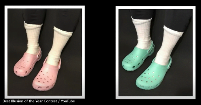 The Internet Is Divided Over A ‘Crocs & Socks’ Illusion