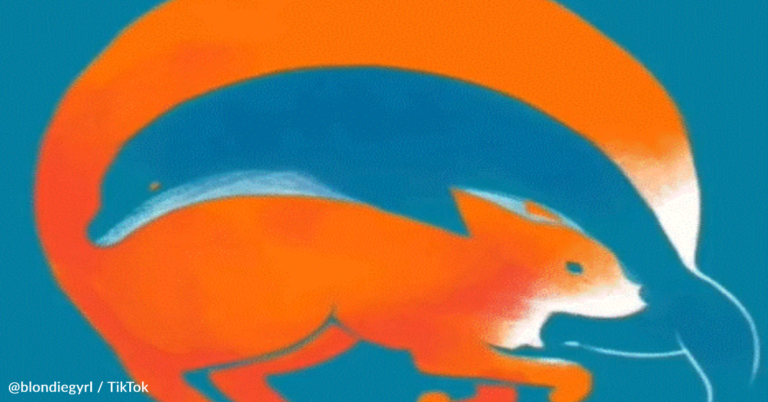 Woman Claims Optical Illusion Can Decipher Your Personality