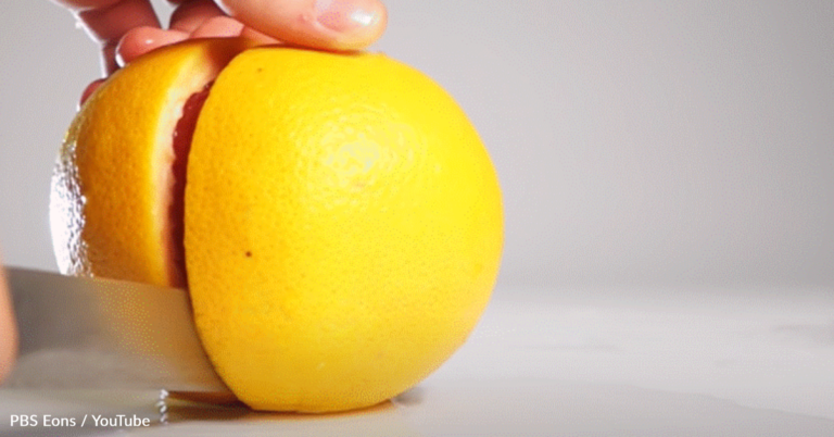How The Taste Of Sour Evolved To Benefit Humans