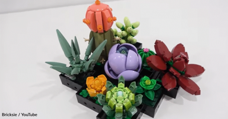 LEGO Has A Succulent Collection That’s Just In Time For Mother’s Day