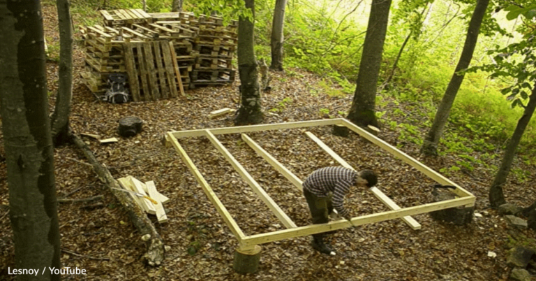 Man Builds A House In The Woods Entirely Out Of Wooden Pallets