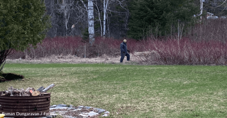 Mysterious Treasure Hunt Captivates Residents In Canadian Town