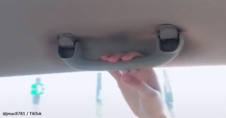 People Are Just Learning About Secret ‘Flap’ On Car Grab Handles