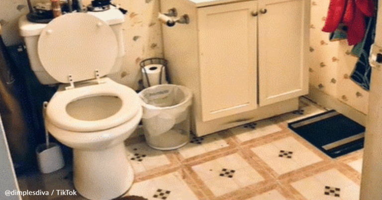 Woman Transforms Entire Bathroom For Just $300