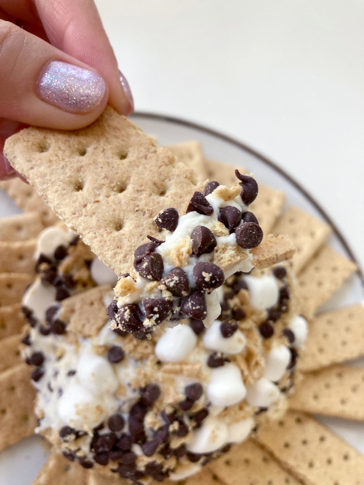 S’mores Marshmallow Cheese Ball