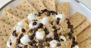 S’mores Marshmallow Cheese Ball