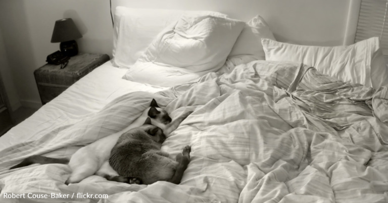 Home Cleaner Shares The Reason You Shouldn’t Make Your Bed Every Day