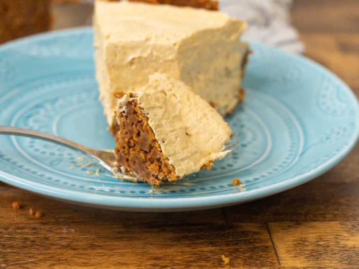 No-Bake-Marshmallow-Pumpkin-Pie-Horizontal-22-728x546