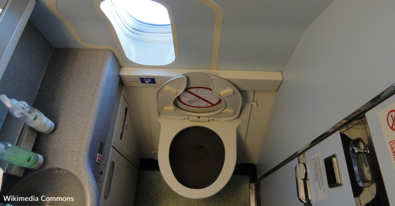 Flight Attendant Shares Why You Should Avoid Using Toilet Paper On The Plane