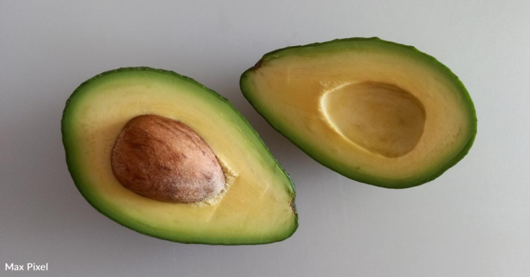 FDA Warns That A Popular TikTok Avocado Hack Could Make You Sick