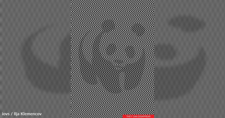 Can You Spot The Panda In This Optical Illusion?