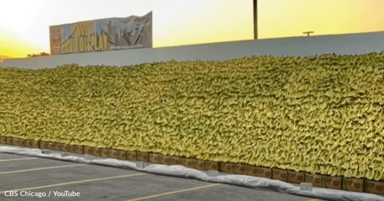 Grocery Store Breaks World Record For Largest Fruit Display
