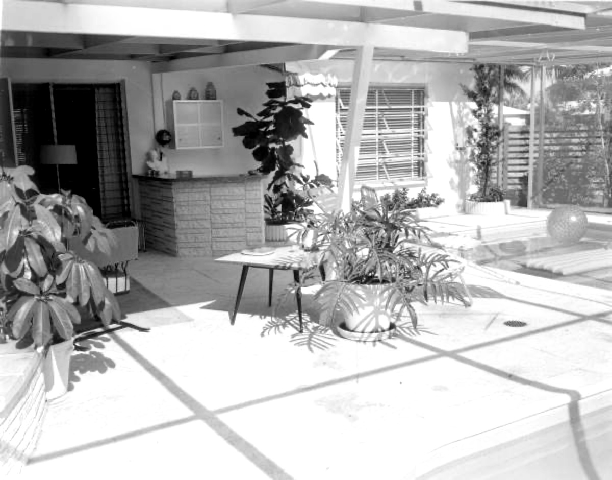 1950s houseplants on patio