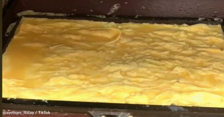 McDonald’s Employee How They Really Make Their Scrambled Eggs