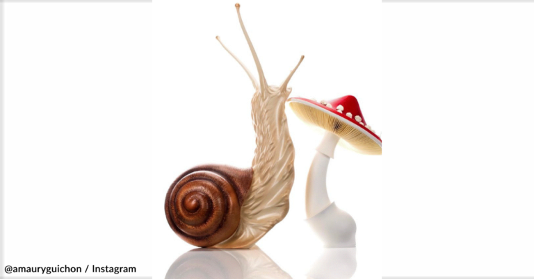 Chef Creates Giant Snail Made Completely Of Chocolate