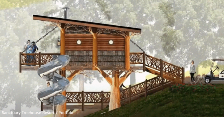 The World’s Largest Treehouse Resort Will Soon Be Open In Tennessee