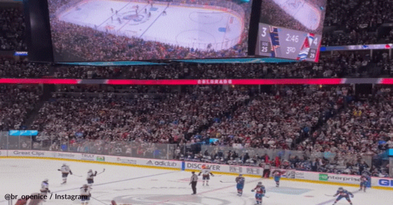 Entire Hockey Stadium Sings Along To Blink 182’s ‘All The Small Things’