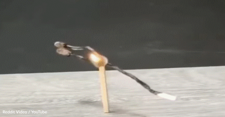 Burning Matches Romantically ‘Kiss’ After Being Lit Together
