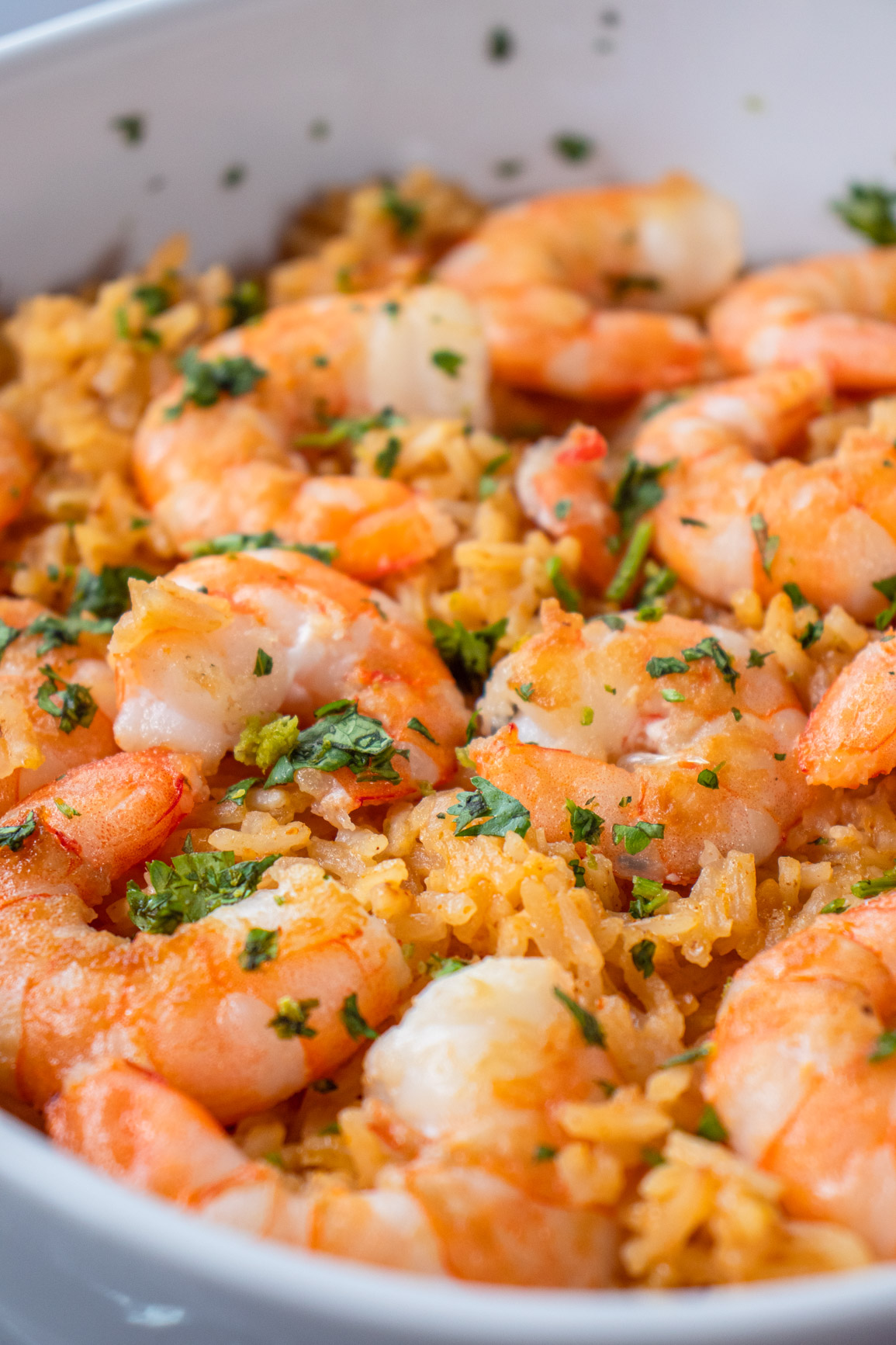 Curry Shrimp Risotto