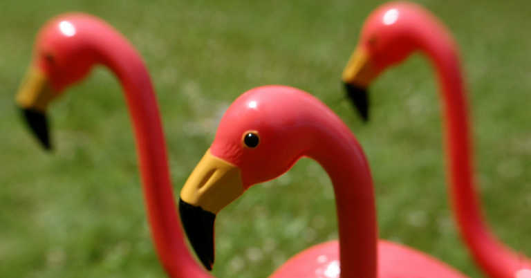 What Happened To Plastic Flamingos?